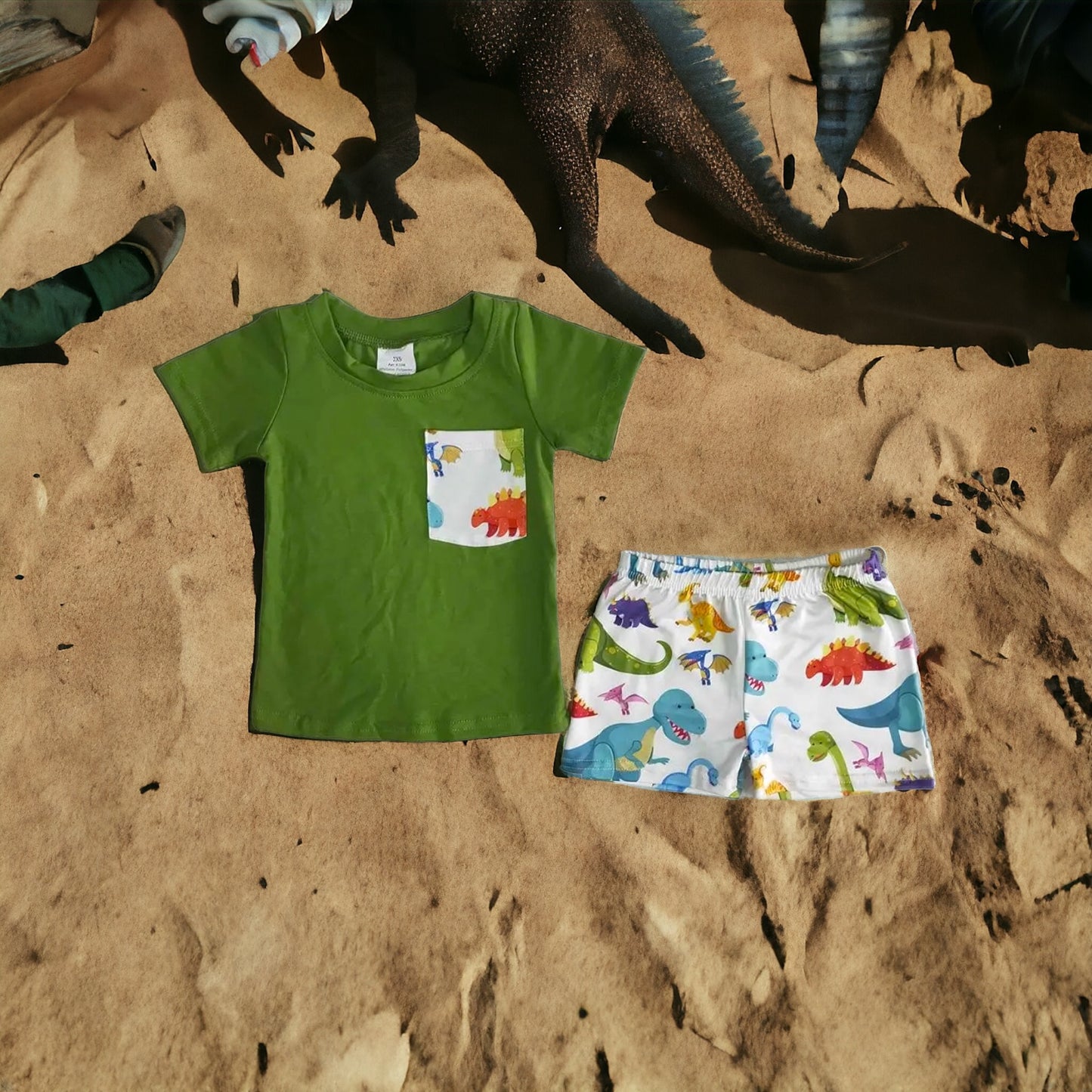 Boys Dinosaur Short Set